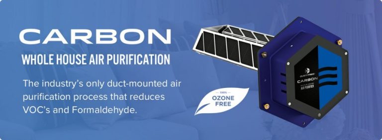 Dust Free Active Air Purifier Reviews